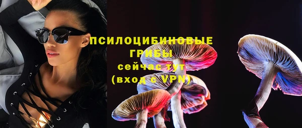 трава Богородицк