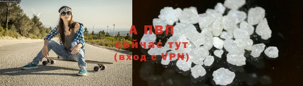 прущие крисы Беломорск