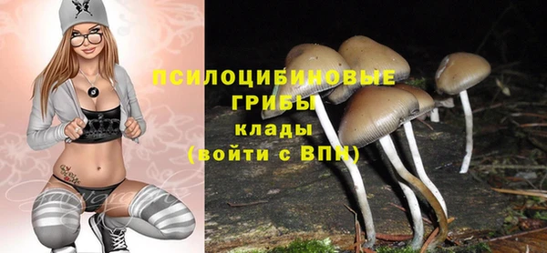 синтетический гашиш Новозыбков