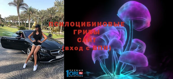 прущие крисы Беломорск